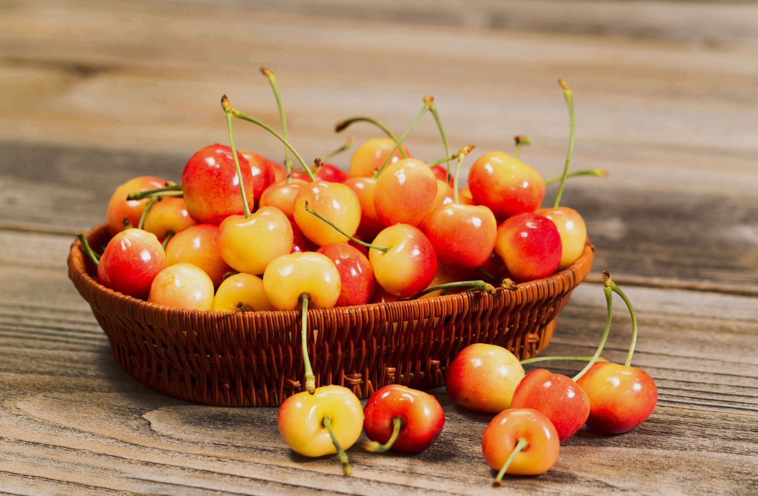 Fruiting Cherries for Whidbey Island – Venture Out Plant Nursery 